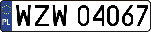 WZW04067