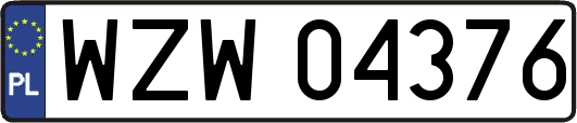WZW04376
