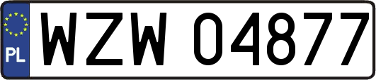 WZW04877