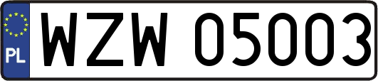 WZW05003