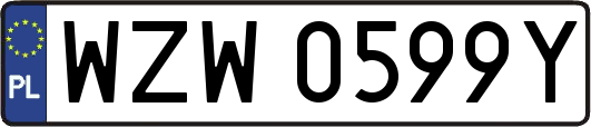 WZW0599Y