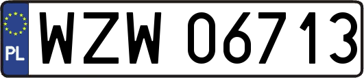 WZW06713