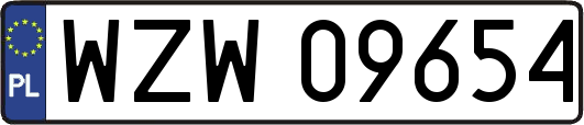 WZW09654