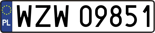 WZW09851