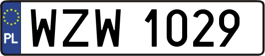 WZW1029