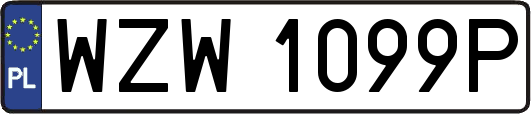 WZW1099P