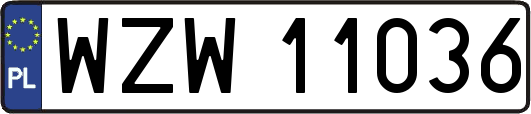 WZW11036