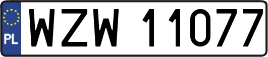 WZW11077
