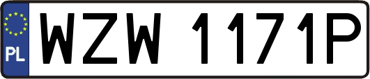 WZW1171P