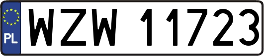 WZW11723