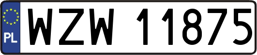 WZW11875