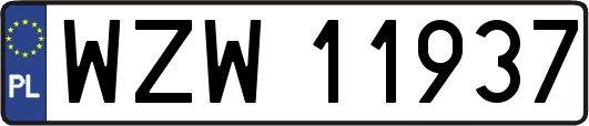 WZW11937