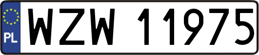 WZW11975