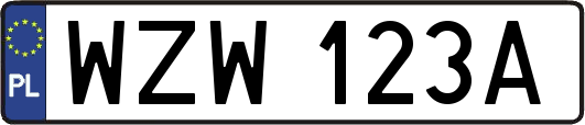 WZW123A