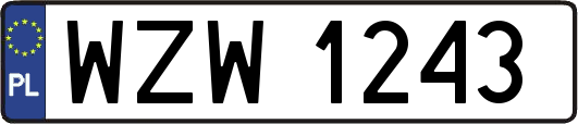 WZW1243