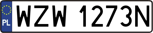 WZW1273N