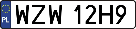 WZW12H9