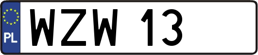WZW13