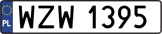 WZW1395
