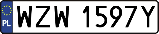 WZW1597Y