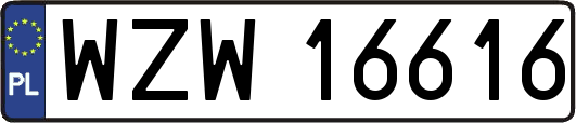 WZW16616