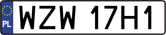 WZW17H1