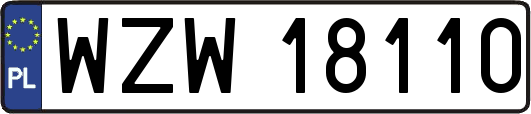 WZW18110