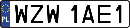 WZW1AE1