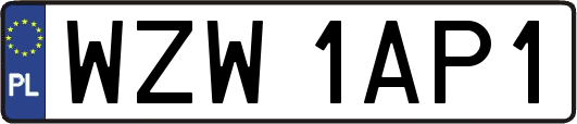 WZW1AP1