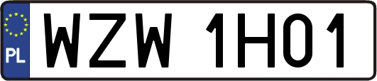 WZW1H01