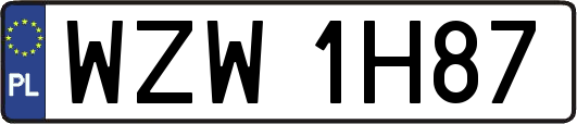 WZW1H87