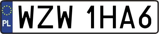 WZW1HA6