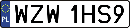 WZW1HS9