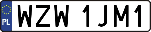 WZW1JM1