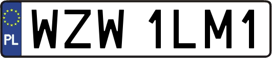 WZW1LM1