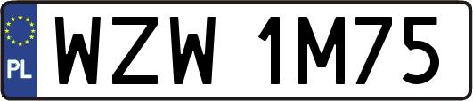 WZW1M75