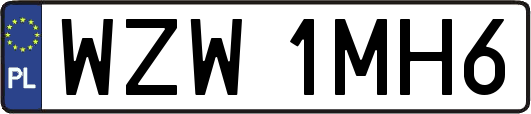 WZW1MH6