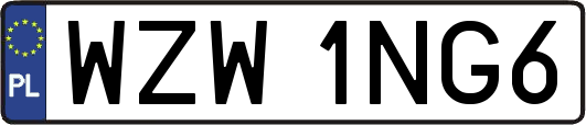 WZW1NG6
