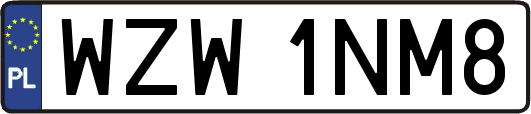 WZW1NM8