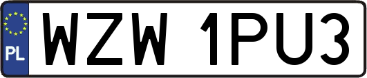 WZW1PU3