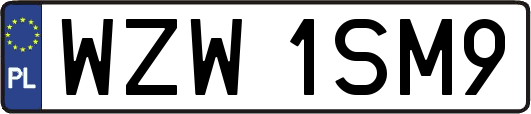 WZW1SM9