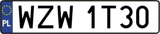 WZW1T30