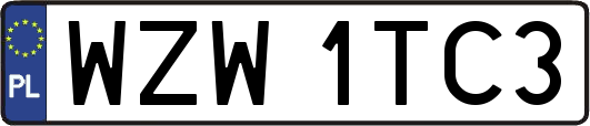 WZW1TC3