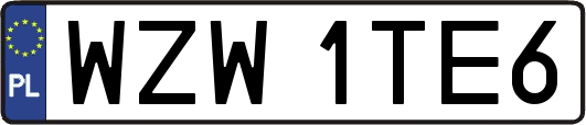 WZW1TE6