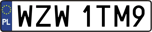 WZW1TM9
