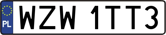 WZW1TT3