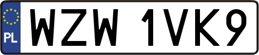 WZW1VK9