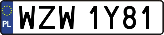 WZW1Y81
