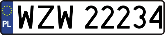 WZW22234