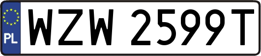 WZW2599T